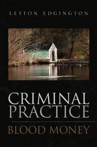 bokomslag Criminal Practice