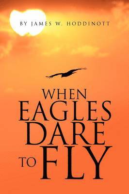 bokomslag When Eagles Dare to Fly
