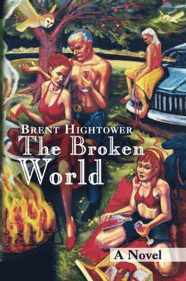 bokomslag Broken World