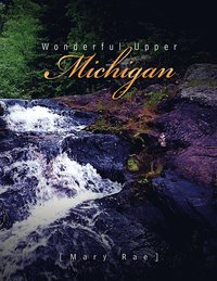 bokomslag Wonderful Upper Michigan