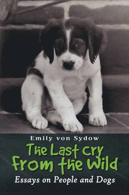 bokomslag Last Cry from the Wild