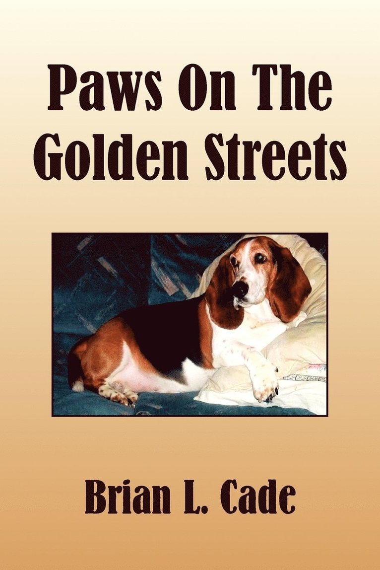 Paws on the Golden Streets 1