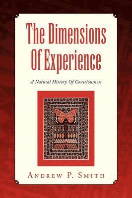 The Dimensions Of Experience 1