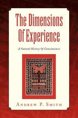 bokomslag Dimensions of Experience
