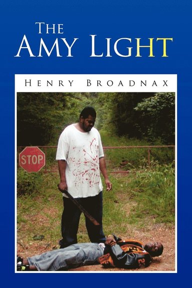 bokomslag The Amy Light