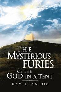 bokomslag The Mysterious Furies of the God in a Tent