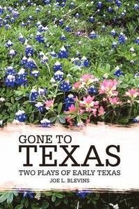 bokomslag Gone to Texas