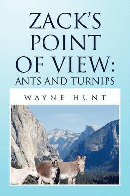 Wayne Hunt - Zack's Point of View, Häftad