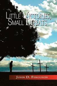 bokomslag Little Victories, Small Defeats