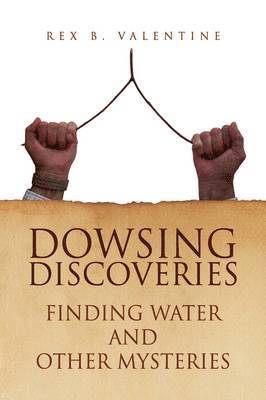 bokomslag Dowsing Discoveries