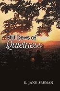 bokomslag Still Dews of Quietness