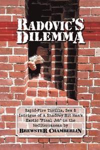 bokomslag Radovic's Dilemma