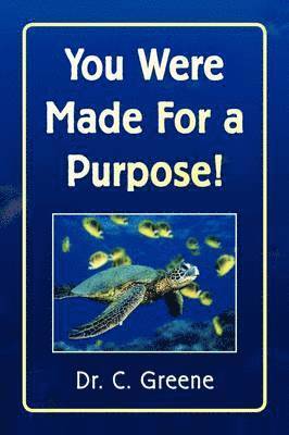 You Were Made for a Purpose! 1