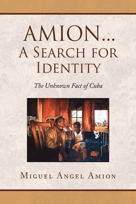 bokomslag Amion...a Search for Identity