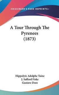 bokomslag A Tour Through The Pyrenees (1873)