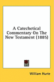 bokomslag A Catechetical Commentary on the New Testament (1885)