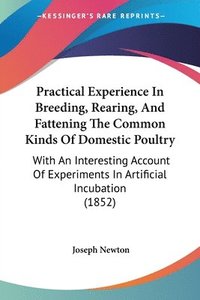 bokomslag Practical Experience In Breeding, Rearing, And Fattening The Common Kinds Of Domestic Poultry