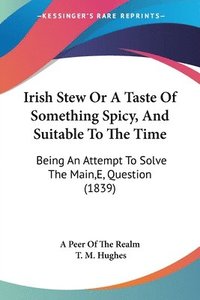 bokomslag Irish Stew Or A Taste Of Something Spicy, And Suitable To The Time