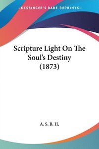 bokomslag Scripture Light On The Soul's Destiny (1873)