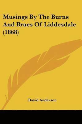 bokomslag Musings By The Burns And Braes Of Liddesdale (1868)