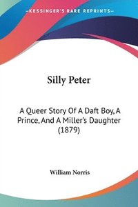 bokomslag Silly Peter: A Queer Story of a Daft Boy, a Prince, and a Miller's Daughter (1879)