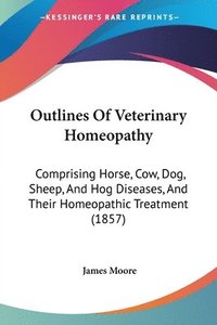 bokomslag Outlines Of Veterinary Homeopathy