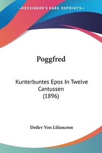 bokomslag Poggfred: Kunterbuntes Epos in Twelve Cantussen (1896)