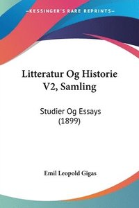 bokomslag Litteratur Og Historie V2, Samling: Studier Og Essays (1899)