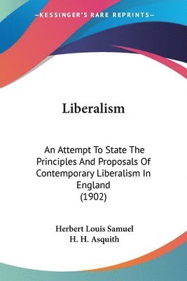 bokomslag Liberalism: An Attempt to State the Principles and Proposals of Contemporary Liberalism in England (1902)