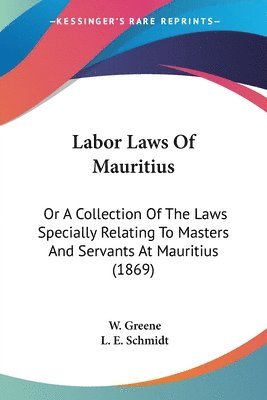 bokomslag Labor Laws Of Mauritius