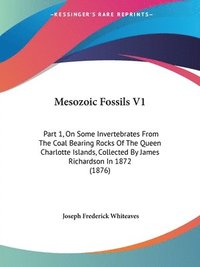 bokomslag Mesozoic Fossils V1: Part 1, on Some Invertebrates from the Coal Bearing Rocks of the Queen Charlotte Islands, Collected by James Richardso