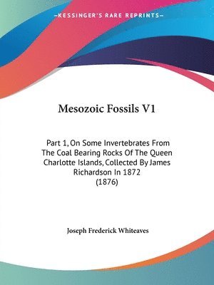 bokomslag Mesozoic Fossils V1: Part 1, on Some Invertebrates from the Coal Bearing Rocks of the Queen Charlotte Islands, Collected by James Richardso