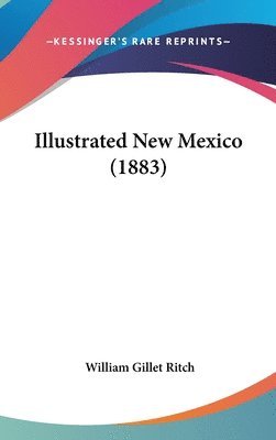 bokomslag Illustrated New Mexico (1883)