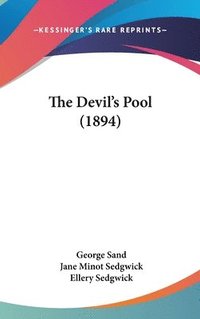 bokomslag The Devils Pool (1894)
