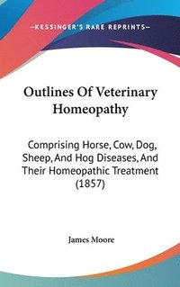 bokomslag Outlines Of Veterinary Homeopathy