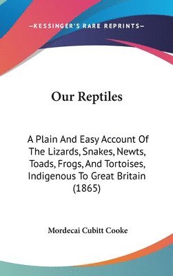 Our Reptiles 1