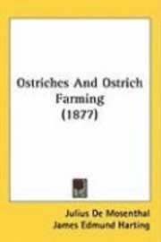 bokomslag Ostriches and Ostrich Farming (1877)