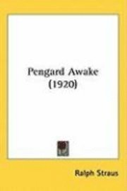 bokomslag Pengard Awake (1920)