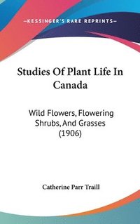 bokomslag Studies of Plant Life in Canada: Wild Flowers, Flowering Shrubs, and Grasses (1906)