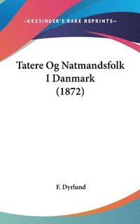 bokomslag Tatere Og Natmandsfolk I Danmark (1872)