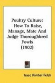 bokomslag Poultry Culture: How to Raise, Manage, Mate and Judge Thoroughbred Fowls (1902)