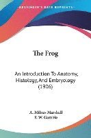 bokomslag The Frog: An Introduction to Anatomy, Histology, and Embryology (1906)