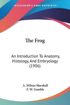 bokomslag The Frog: An Introduction to Anatomy, Histology, and Embryology (1906)