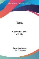bokomslag Testa: A Book for Boys (1889)