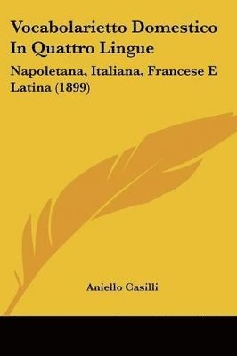 bokomslag Vocabolarietto Domestico in Quattro Lingue: Napoletana, Italiana, Francese E Latina (1899)