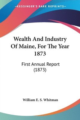 bokomslag Wealth And Industry Of Maine, For The Year 1873: First Annual Report (1873)