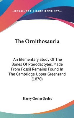 Ornithosauria 1