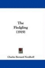 bokomslag The Fledgling (1919)