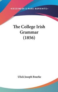 bokomslag The College Irish Grammar (1856)