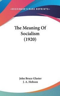 bokomslag The Meaning of Socialism (1920)